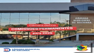 Comissões Permanentes Comissões Permanentes